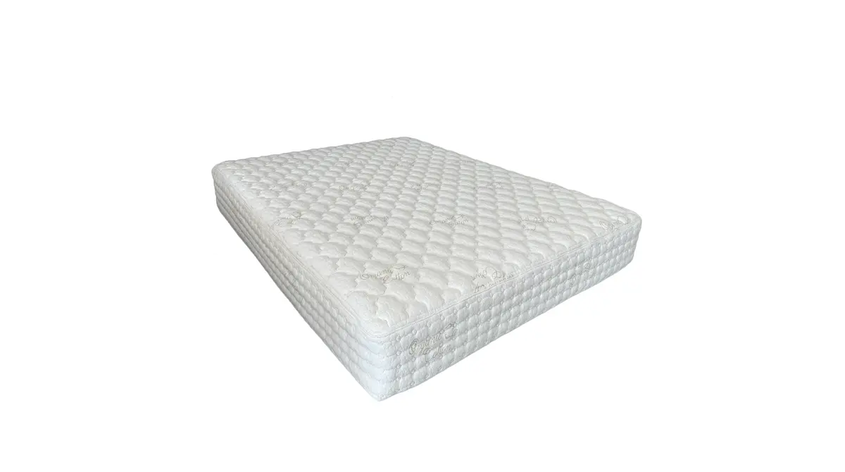 Balboa, product photo