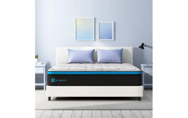 Avenco Original Hybrid Plus, product photo