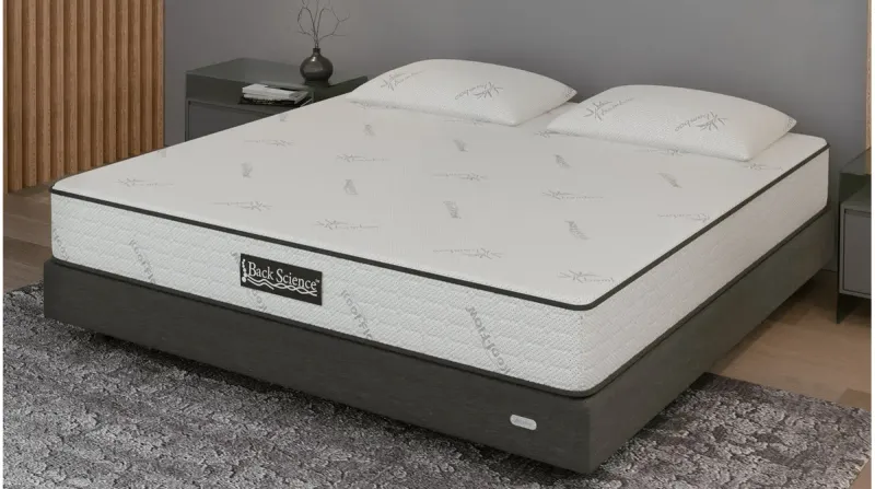 Back Science® Essentials Mattress, product photo