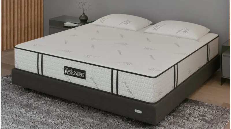 Back Science® Series 1 Hybrid Mattress, product photo