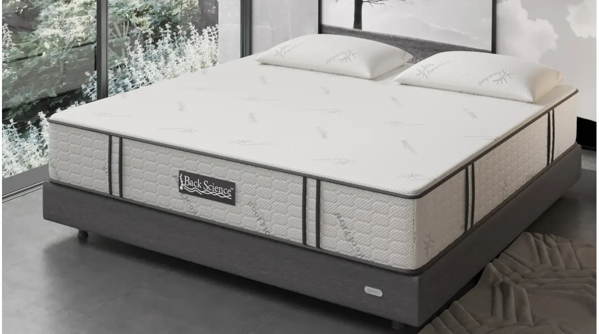Back Science® Series 3 Hybrid Mattress, product photo