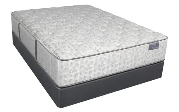 Level 1, product photo