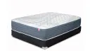 Barclay Firm, Plush and Hybrid, product photo
