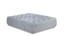 Cloverfield Firm and Plush Ascend, product photo