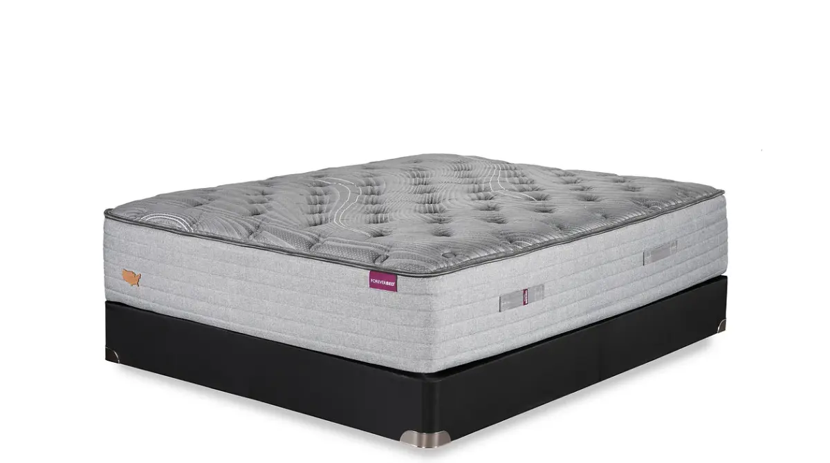 Logan Firm and Plush Ascend, product photo