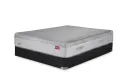 Palisade Hybrid Ascend, product photo