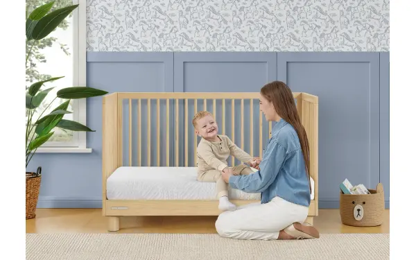 Aire Crib and Toddler family, product photo