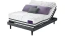 Chiropractors Dream, product photo