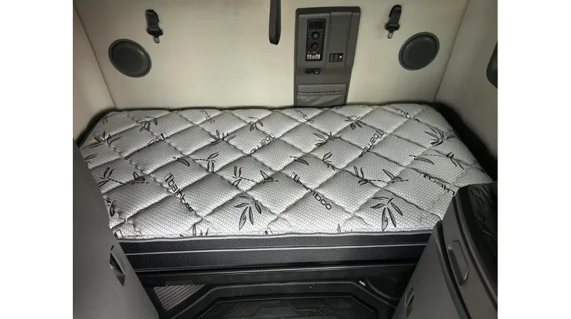 Galaxy Elite 10-inch Pillow Top, product photo