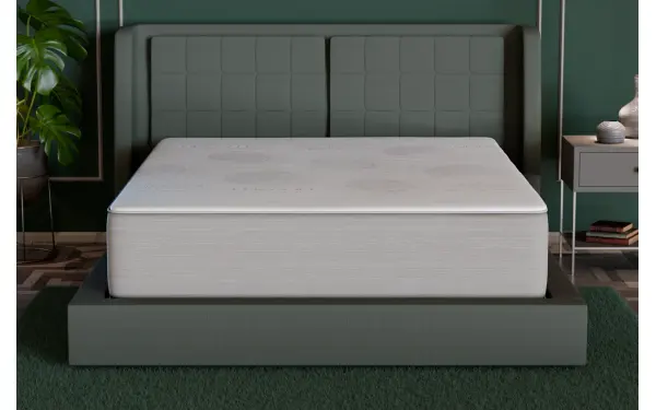 Alpha Rest 15 Hybrid with Massage, product photo