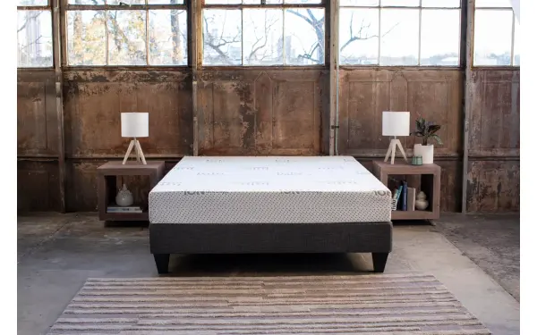 Lulu Basic 5.5in Memory Foam, product photo