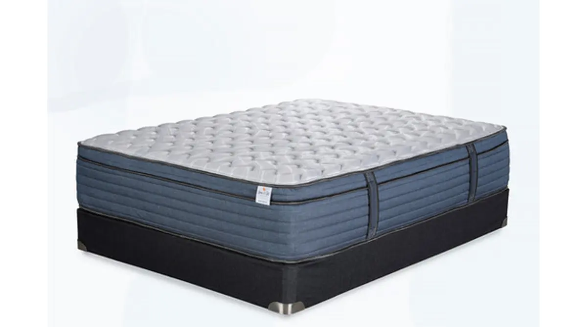Oasis Firm ET Euro-Top, product photo