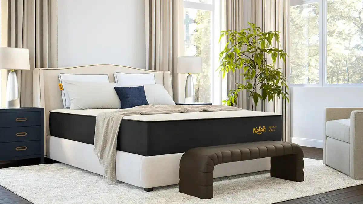 Nolah Signature, product photo