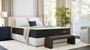 Nolah Signature, product photo