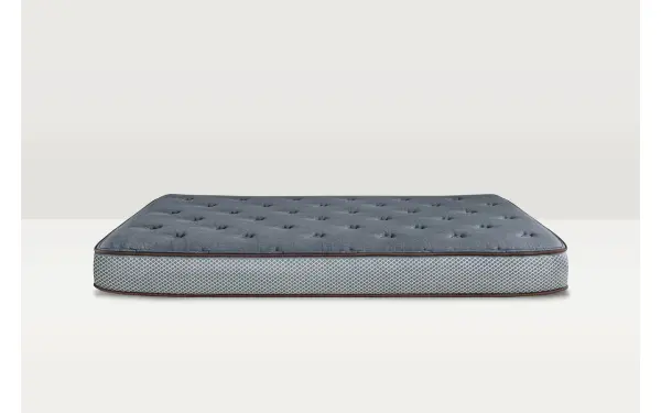 BigDawg Mattress 9-in, product photo