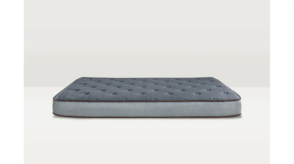 BigDawg Mattress 9-in, product photo