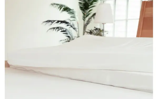 Organic Latex Mattress, product photo