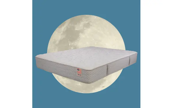 RESTFUL, product photo