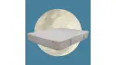RESTFUL, product photo