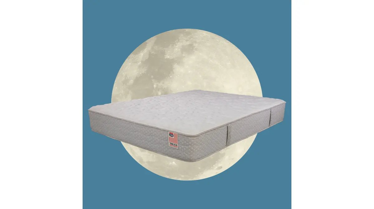 RESTFUL, product photo