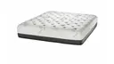 Evergreen, product photo