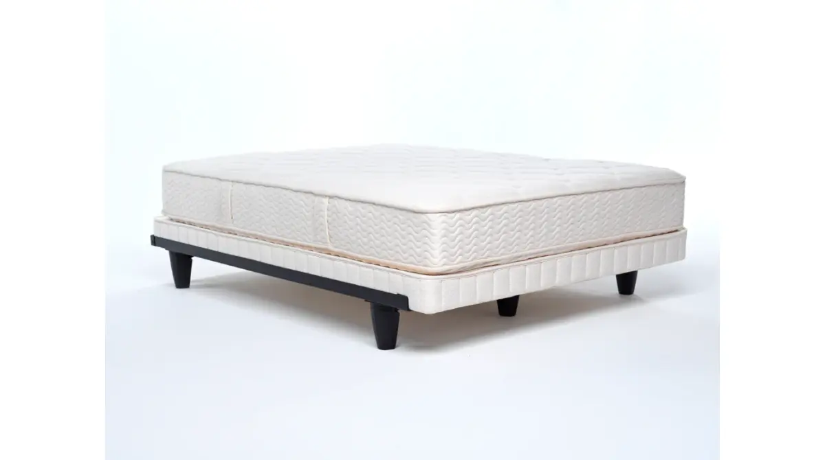 The Kingston, product photo