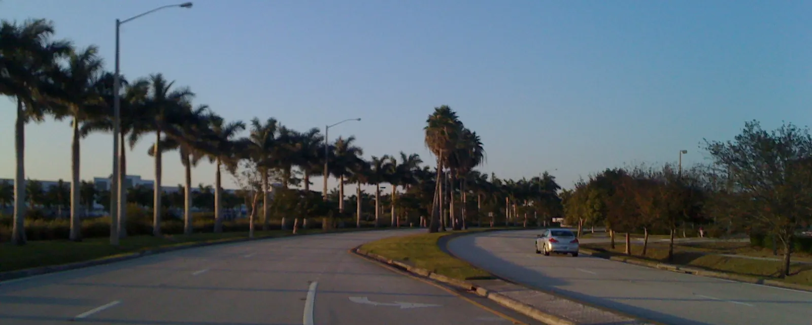 Tree-lined Hiatus Road in Tamarac