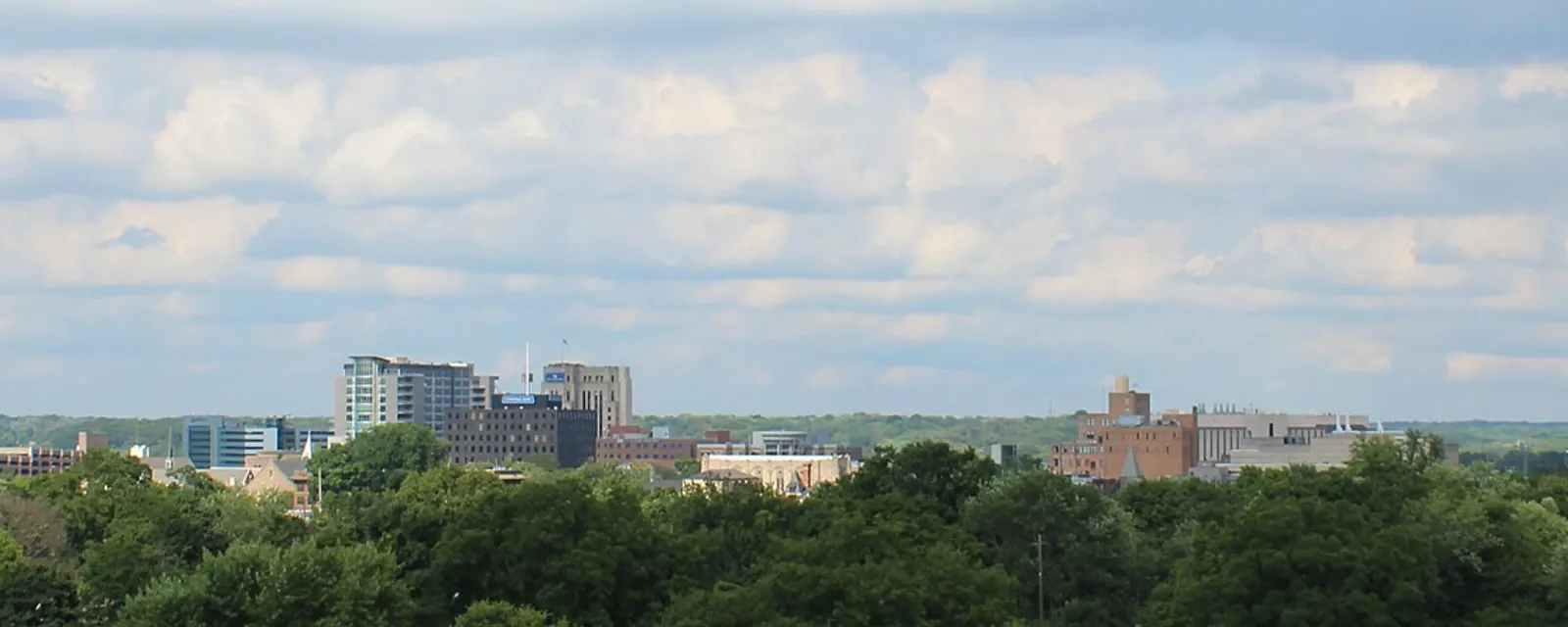 Downtown Kalamazoo above the trees