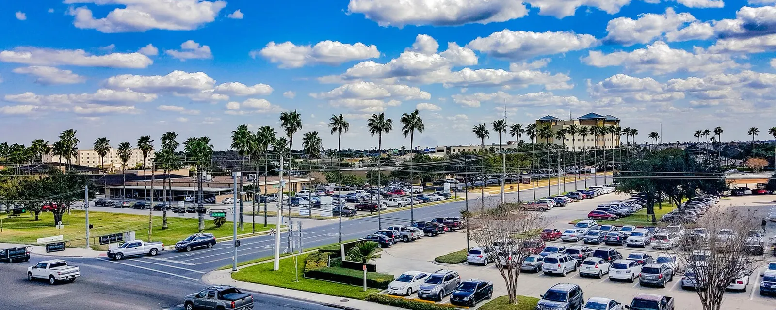 Palm-lined streets and shops in McAllen